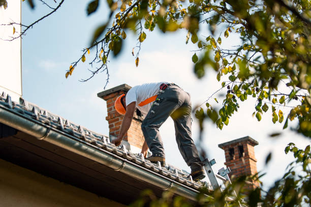 Best Roof Moss and Algae Removal  in Neosho, MO